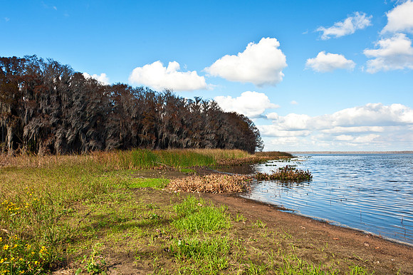 From Palm Point at Newnans Lake