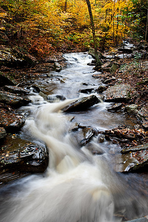 Ricketts Glen