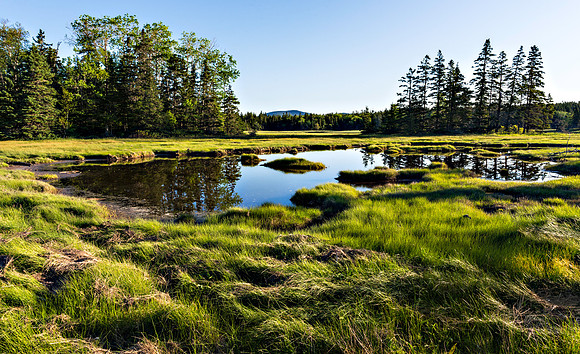 Sunrise at Mitchell Marsh Preserve West Tremont