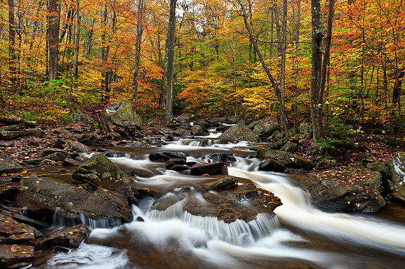 Ricketts Glen