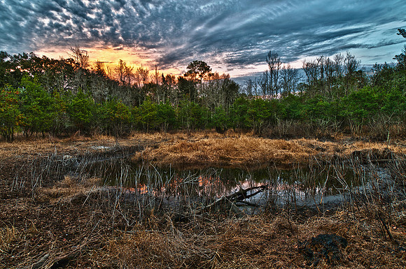 Sunset at the Pond