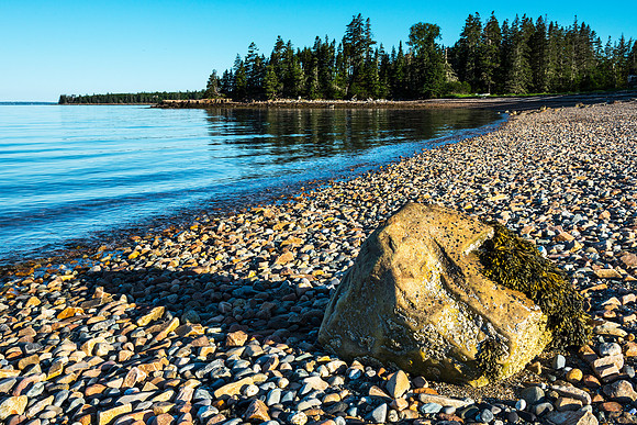 Low Tide at Mitchell Masrsh Preserve with Large Rock