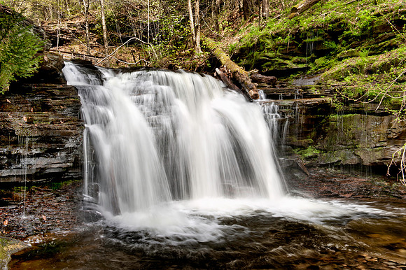 Ricketts Glen State Park