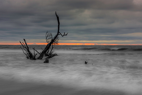 Boneyard Rainy Sunrise