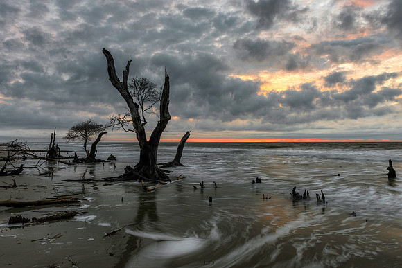 Sunrise on Bulls Island
