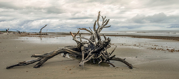 Boneyard at Bulls Island