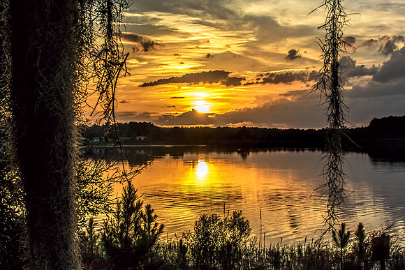 Mill Dam Lake Ocala NF