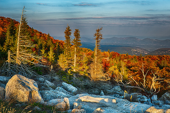 Fall Sunset near Bear Rocks at Dolly Sods Wilderness