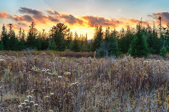 Beaver Pond Sunset