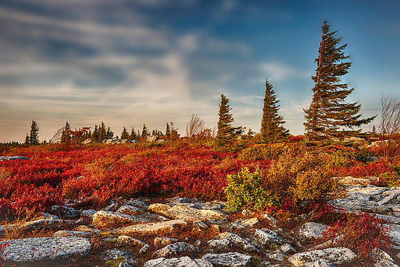 Fall Sunset near Bear Rocks at Dolly Sods Wilderness
