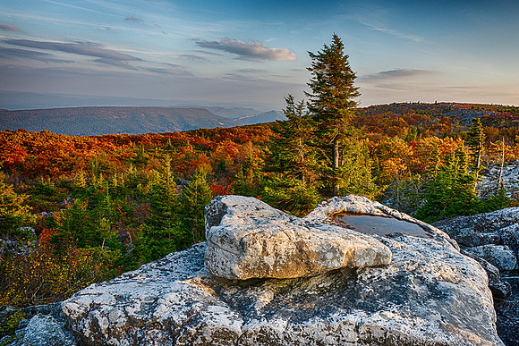 Fall Sunset near Bear Rocks at Dolly Sods Wilderness