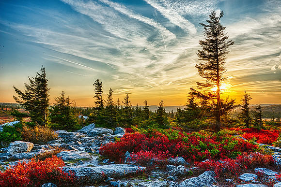 Dolly Sods Wilderness Fall Sunset