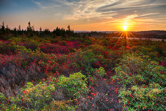 Dolly Sods Wilderness Fall Sunset