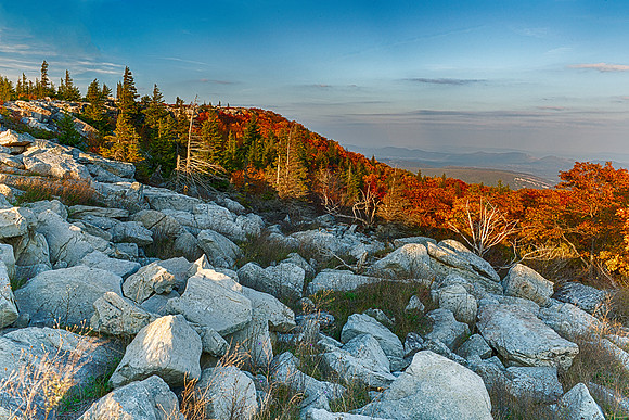 Dolly Sods Sunset Looking East Toward Bear Rocks