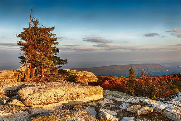 Sunsetting Light on Rock Outcropping at Dollly Sods