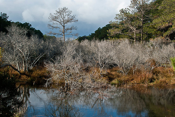 Chincoteague Early AM