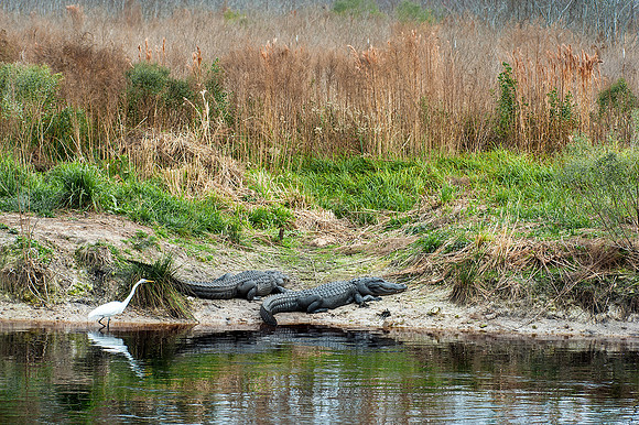 Typical Sleepy Afternoon on the Prairie