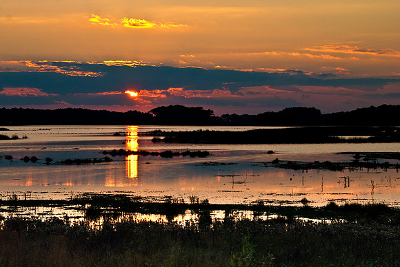 Sunset at Chincoteague National Wildlife Refuge