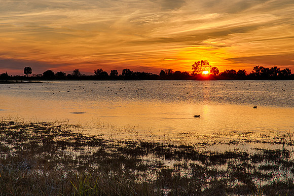 Sunset at St Marks NWR