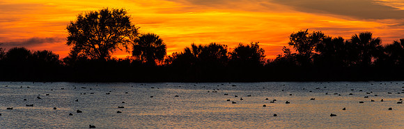 Sunset at St Marks NWR