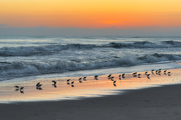 Sunrise on the Beach at Merritt Island NWR