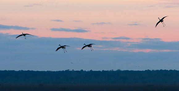 Landing Gear Down for an Evening Landing on the Prairie