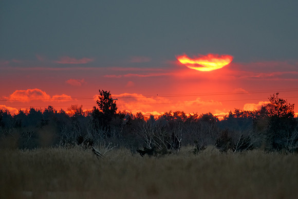 Sunrise at Prime Hook NWR