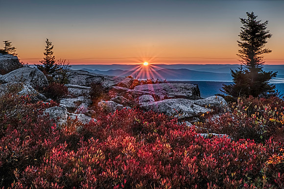 Dolly Sods Fall Sunrise