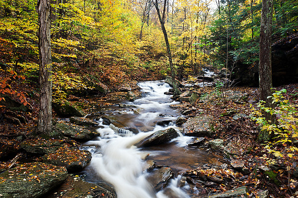 Ricketts Glen