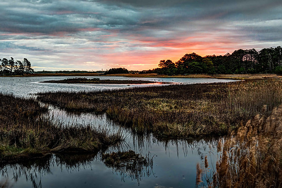 Chincoteague NWR Sunrise