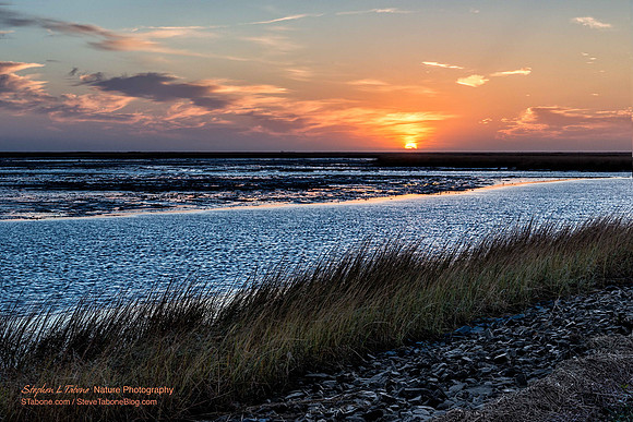 Bombay Hook Sunrise