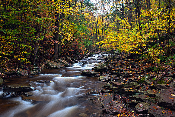 Ricketts Glen