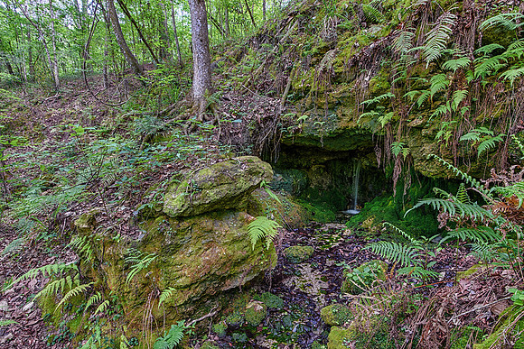 Cave on the Side of the Sink Hole