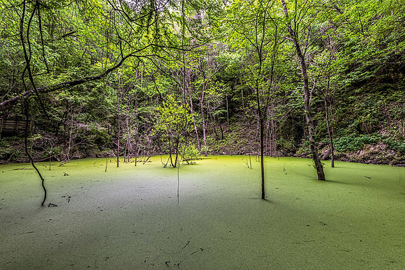 Devils MIllhopper Sink Hole
