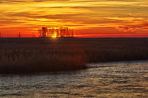 Sunrise Bombay Hook NWR
