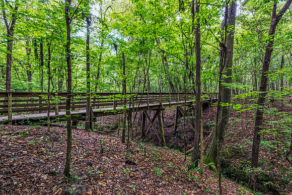 Bridge over Deer Run