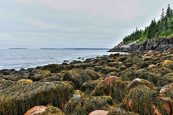 Schooner Beach