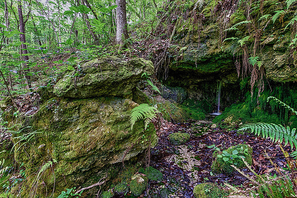 Cave on the Side of the Sink Hole