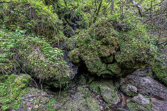 Devils MIllhopper Sink Hole Wall