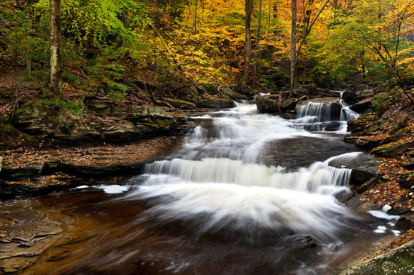 Ricketts Glen