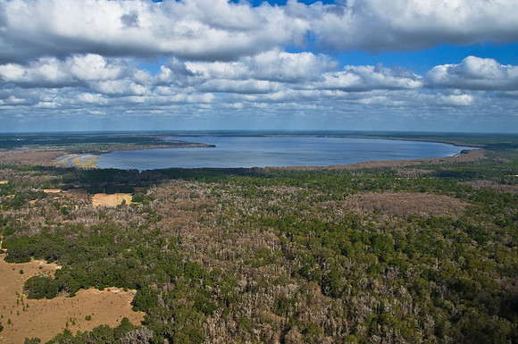 Newnan's Lake, Gainesville, FL