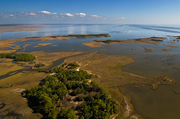South of Cedar Key Along Gulf Coast