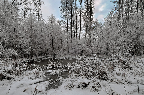 Near Powell's Creek