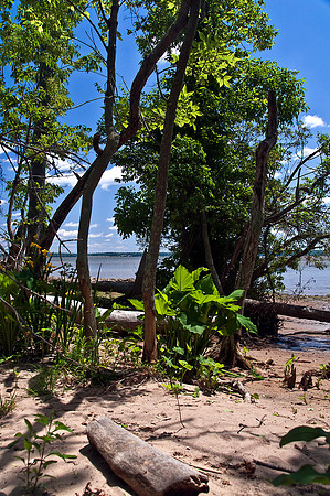 Bushey Point 2