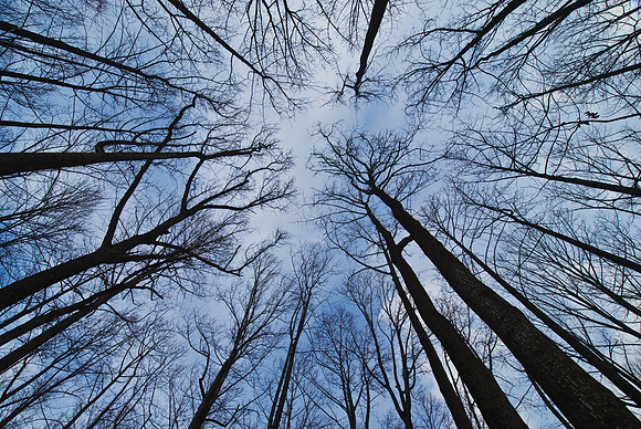 Leesylvania State Park, VA