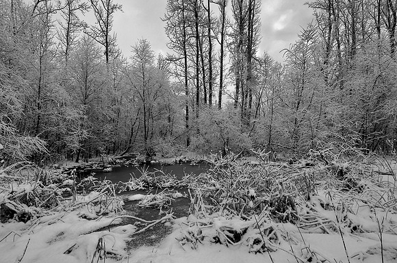 Near Powell's Creek