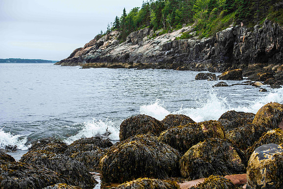 Schooner Beach