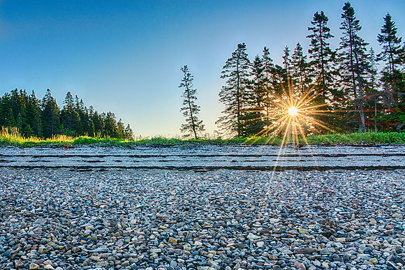 Mitchell Marsh Preserve