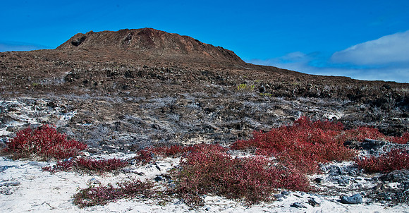 Chinese Hat Island