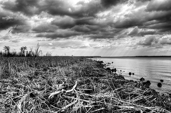Featherstone National Wildlife Refuge